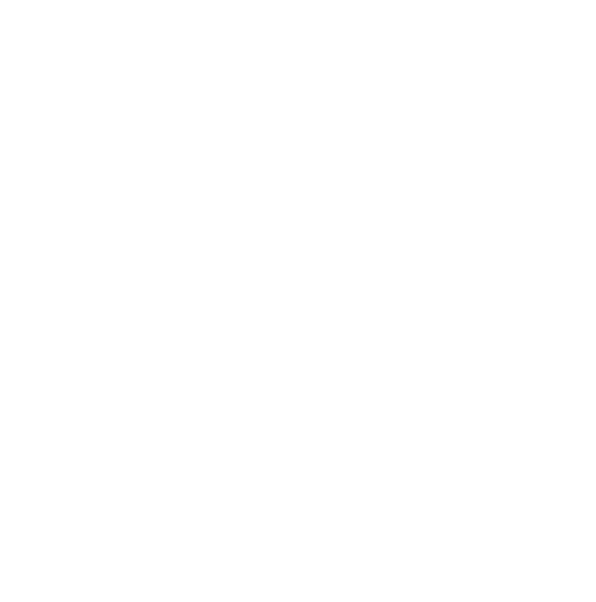 新腾数致