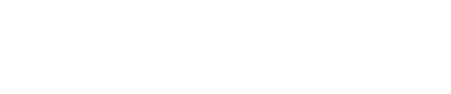 新腾数致